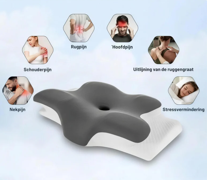 Ergonomisch kussen